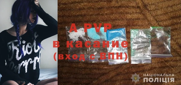 спайс Богданович