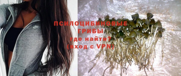 спайс Богданович