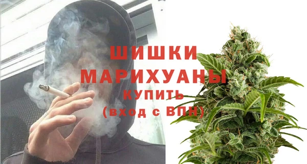 прущая мука Богородск