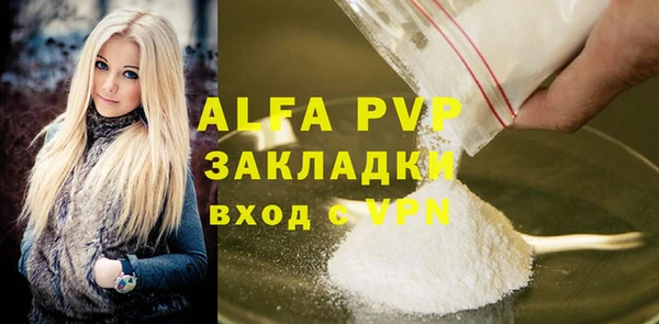спайс Богданович