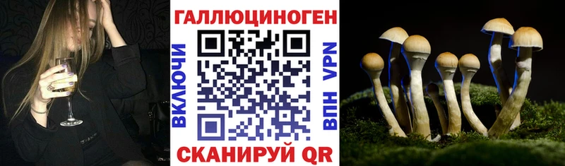 Купить закладки  Протвино  Галлюциногенные грибы MAGIC MUSHROOMS 