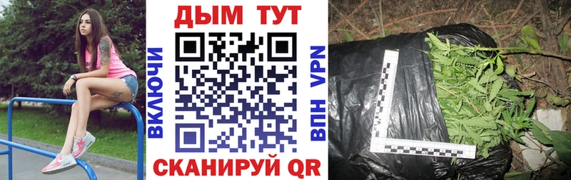 Шишки марихуана планчик  Купить закладки  Протвино 